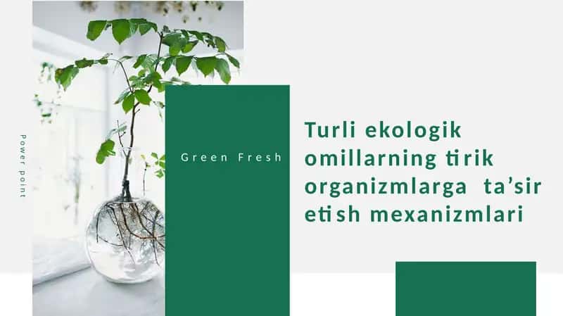 Turli ekologik omillarning tirik organizmlarga  ta’sir etish mexanizmlari