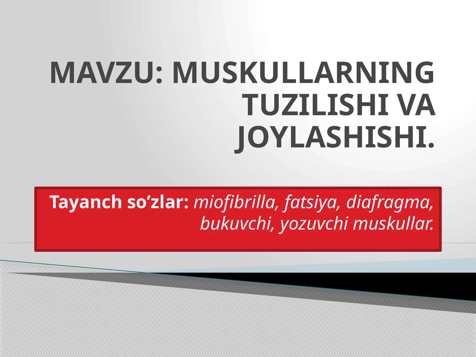 MUSKULLARNING TUZILISHI VA JOYLASHISHI