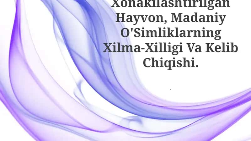 Xonakilashtirilgan Hayvon, Madaniy O'Simliklarning Xilma-Xilligi Va Kelib Chiqishi
