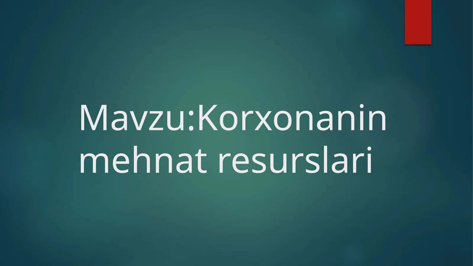 Korxonanin mehnat resurslari
