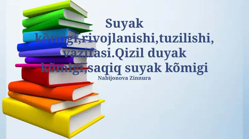 Suyak ko'migi