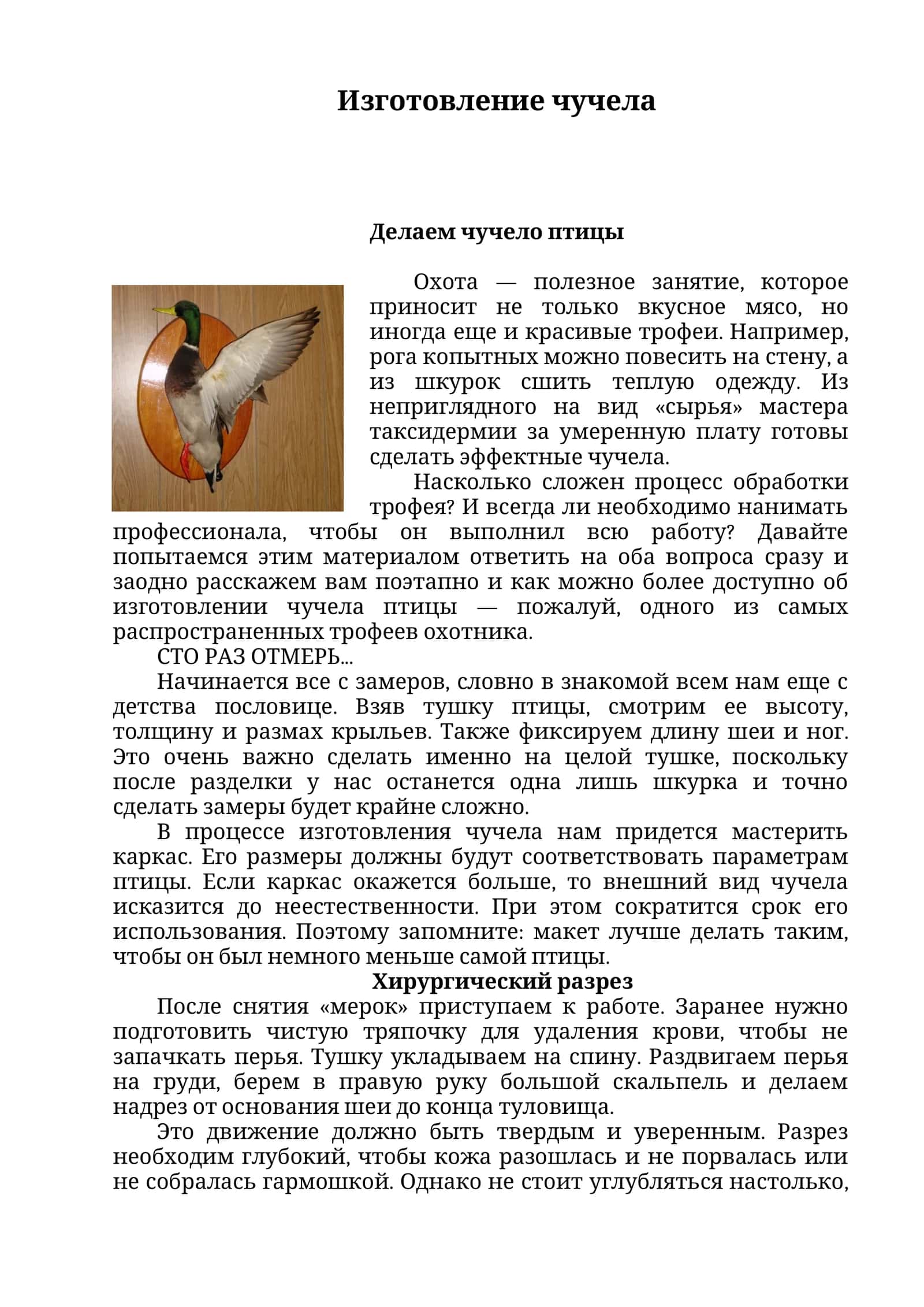 Изготовление чучела