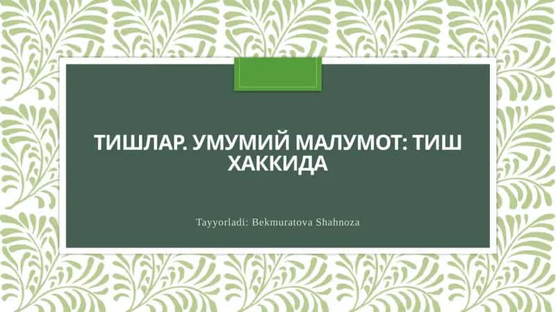 Тишларнинг анатомияси ва физиологияси