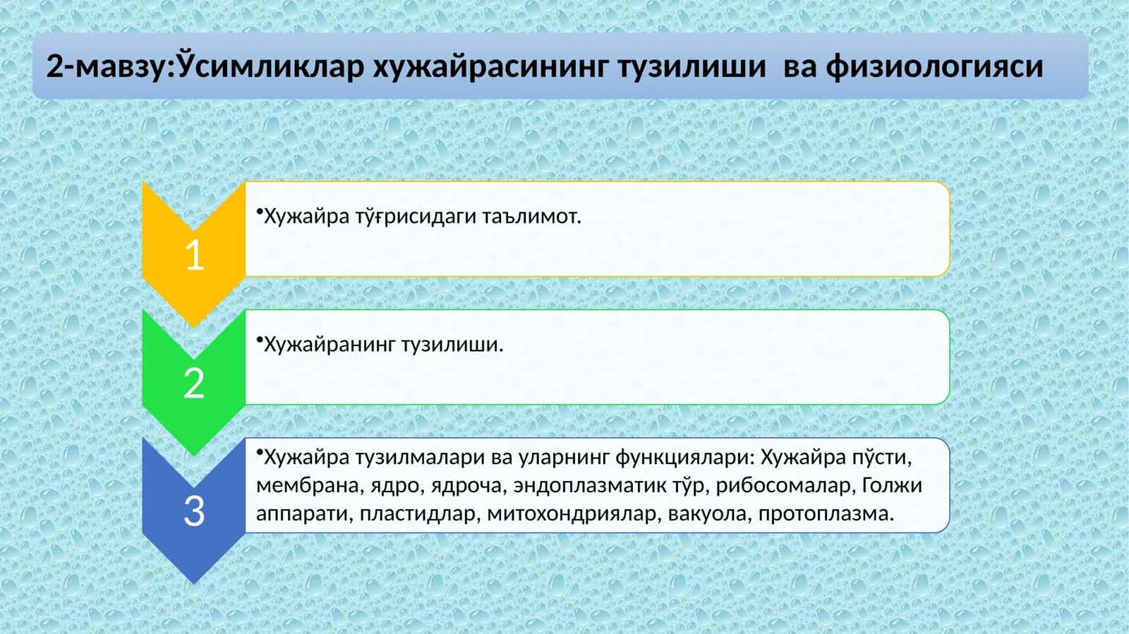 Ҳужайранинг тузилиши
