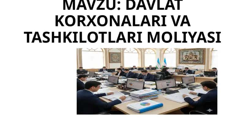 DAVLAT KORXONALARI V A TASHKILOTLARI MOLIYASI