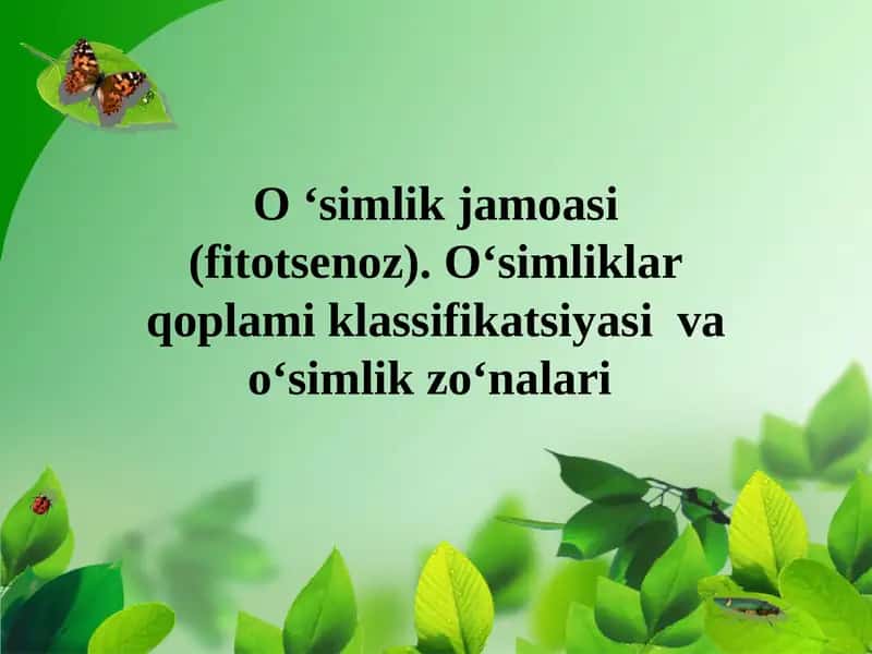 O ‘simlik jamoasi (fitotsenoz). Oʻsimliklar qoplami klassifikatsiyasi va oʻsimlik zoʻnalari