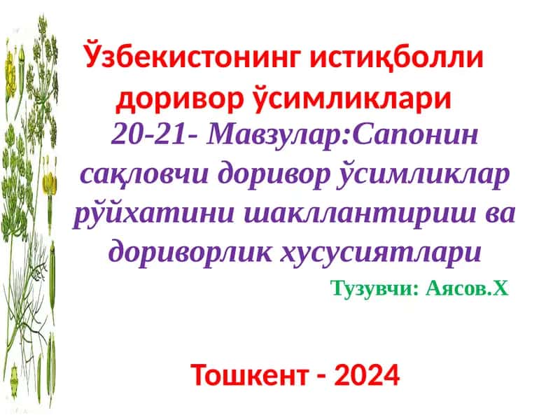 Sapogenniy dori vor usimliklar