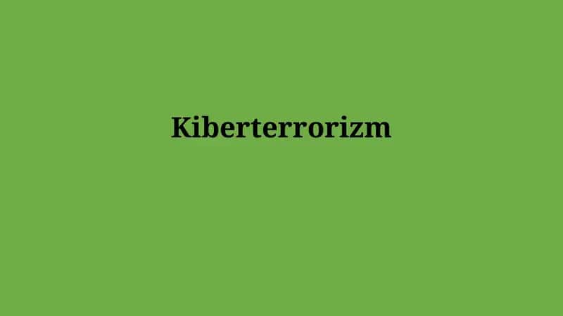 Kiberterrorizm: Ta'rif, Turlari va Motivatsiyalari