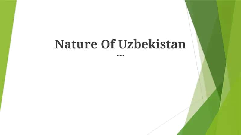 Nature Of Uzbekistan