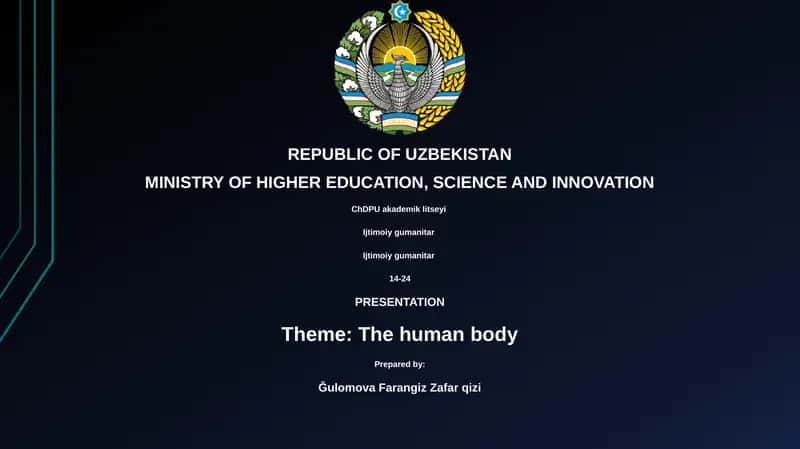 The human body