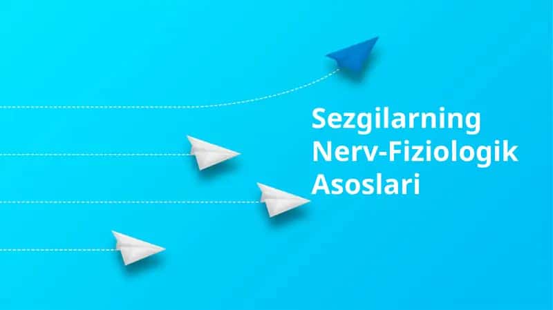 Sezgilarning Nerv-Fiziologik Asoslari