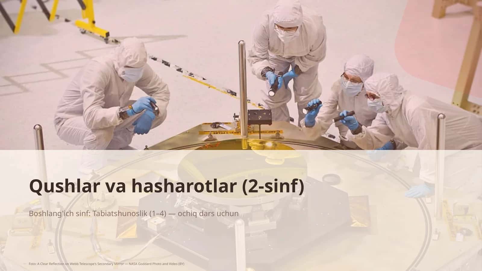 Qushlar va hasharotlar (2-sinf)
