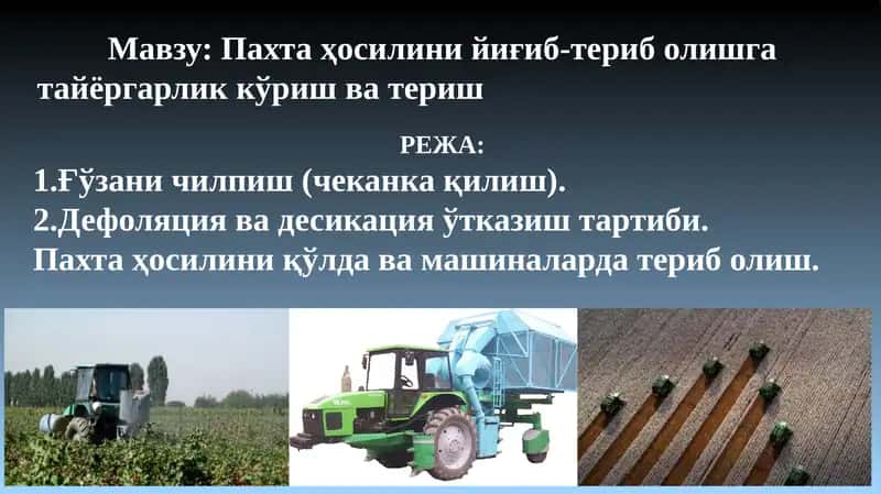 Пахта ҳосилинийиғиб-териб олишга тайёргарлик кўриш ва териш