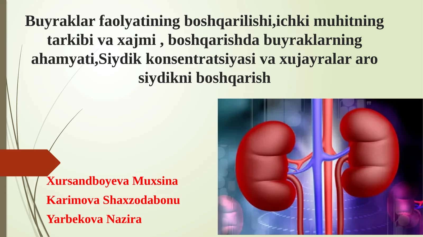 Buyrak organi haqida . Buyrak faoliyatini haqida toʻliq malimotlar.