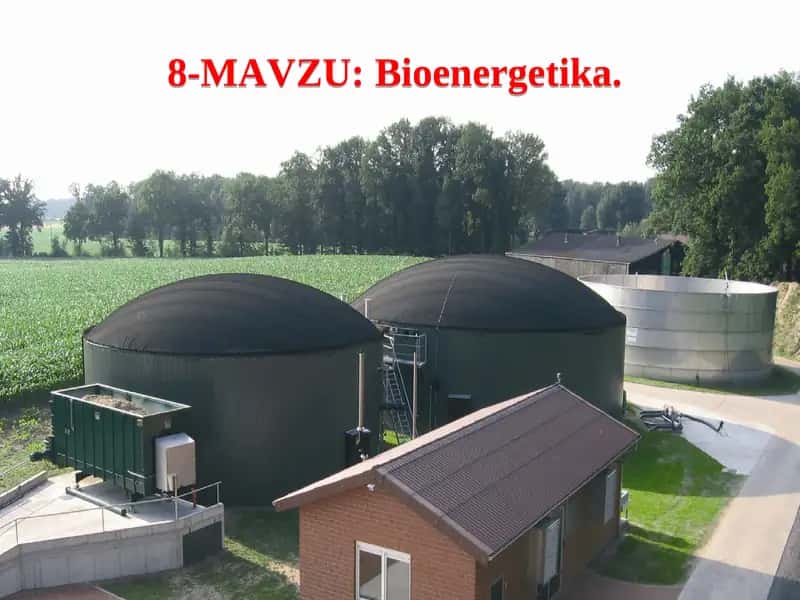 Bioenergetika