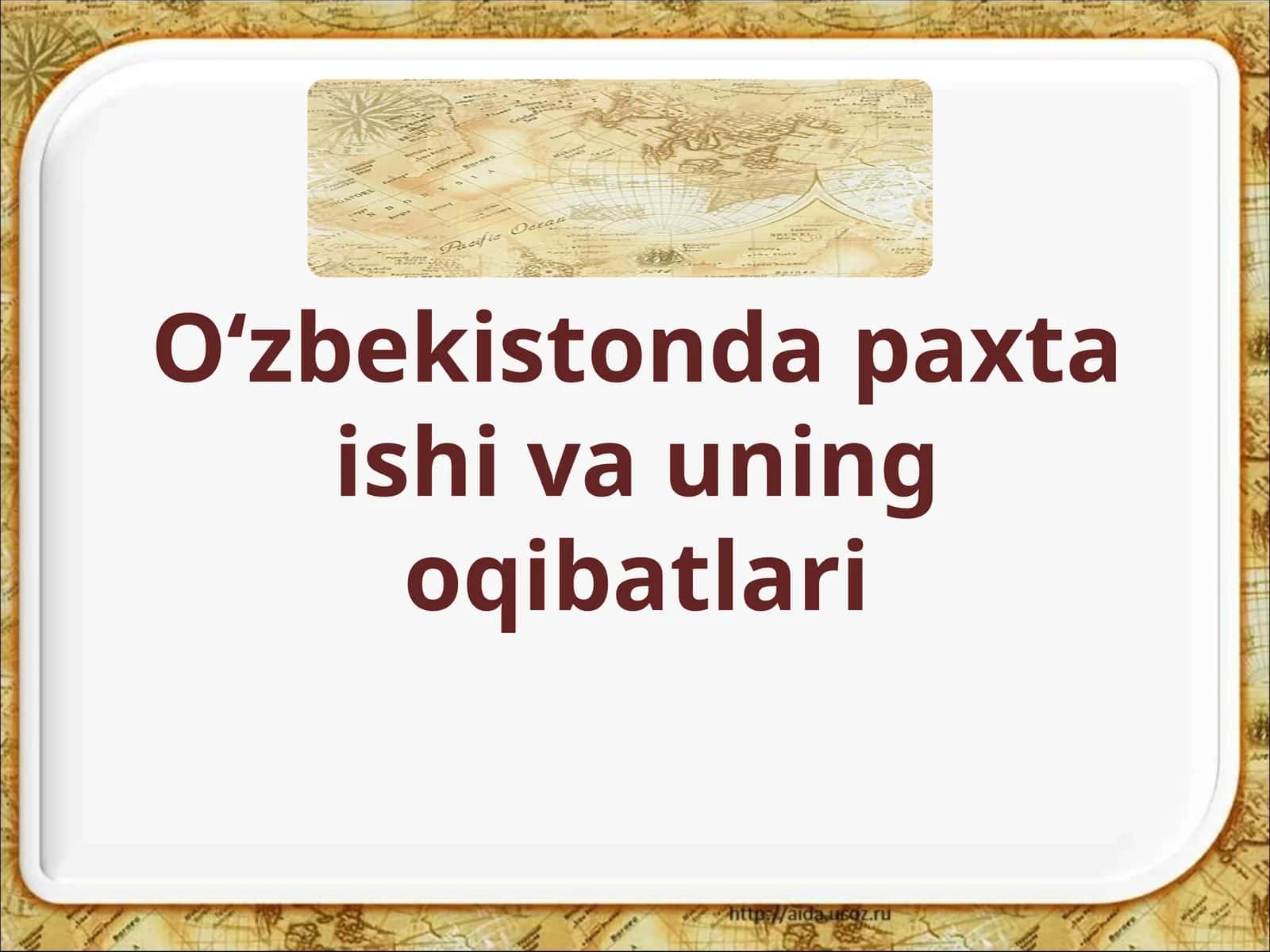 O‘zbekistonda paxta ishlarining oqibatlari