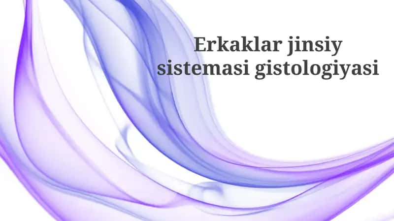 Erkaklar jinsiya sistemasining gistologiyasi
