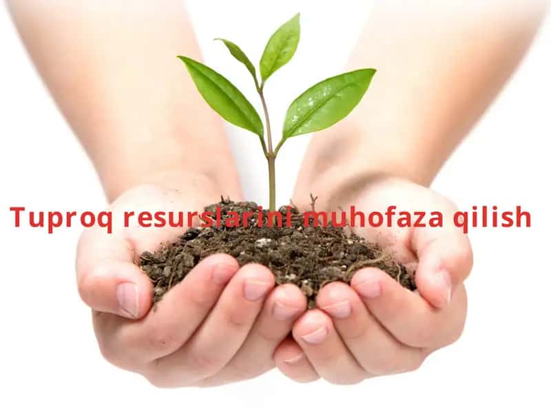 Tuproq resurslarini muhofaza qilish