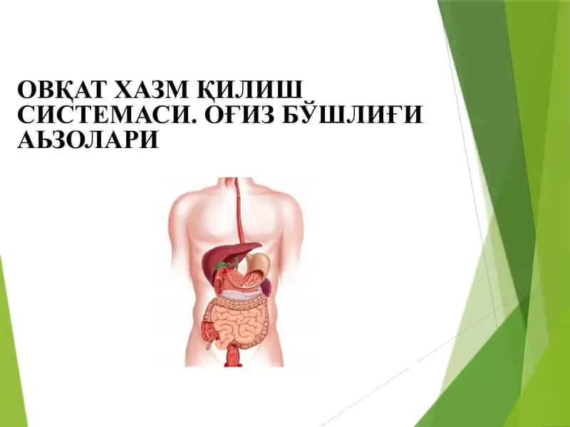 Ovqat hazm qilish sistemasi Og'iz bo'shlig'i a'zolari ОВҚАТ ХАЗМ ҚИЛИШ СИСТЕМАСИ. ОҒИЗ БЎШЛИҒИ АЬЗОЛАРИ
