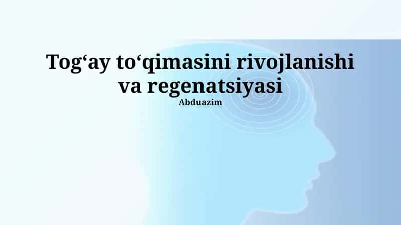 Daryo bo'yi o'rmonlarini tiklash usullari