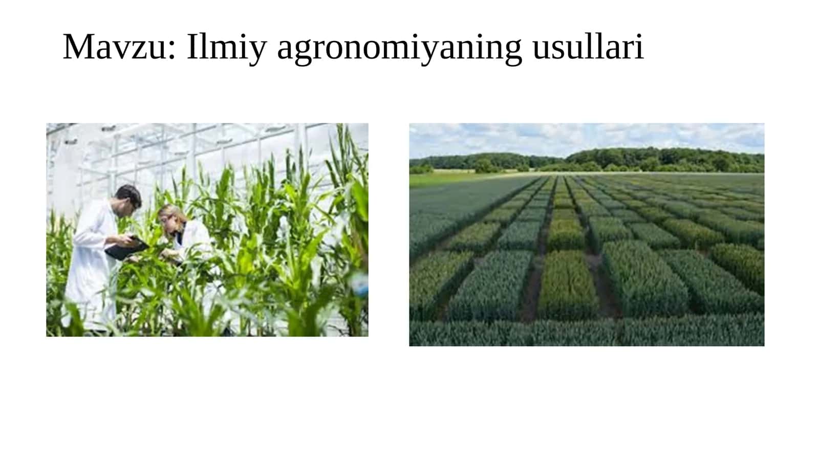 Ilmiy agronomiyaning usullari