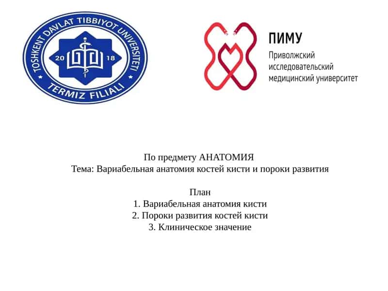 Вариабельная анатомия костей кисти и пороки развития