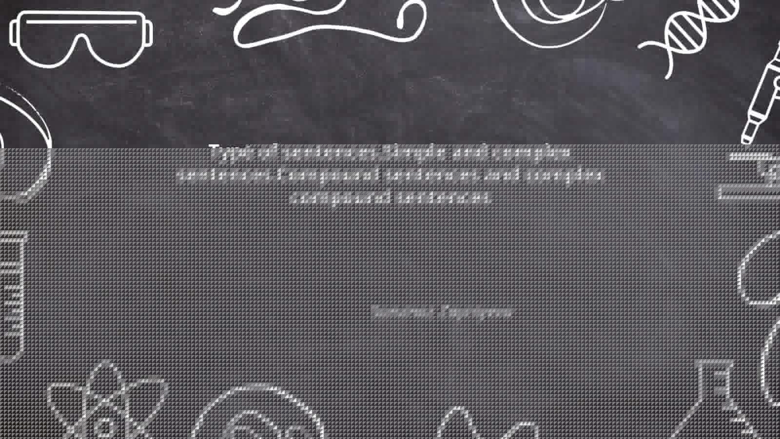 Declarative Sentences