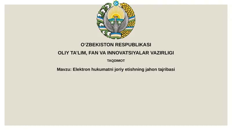 E-hukumat