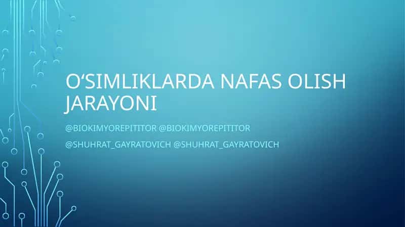 O‘simliklarda Nafas olish jarayoni