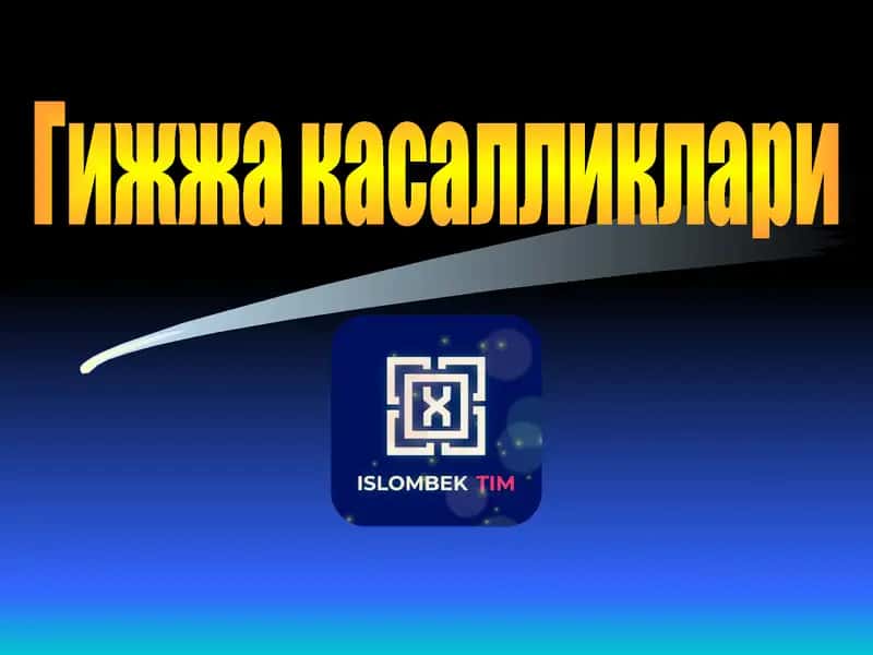 Гижжа касалликлари