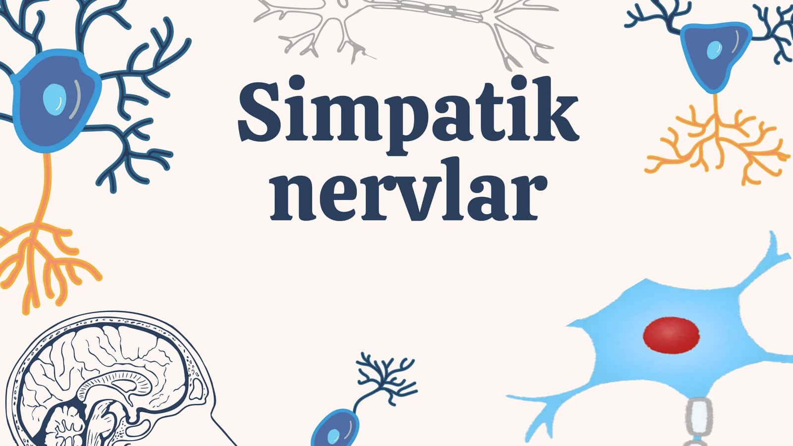 Simpatik