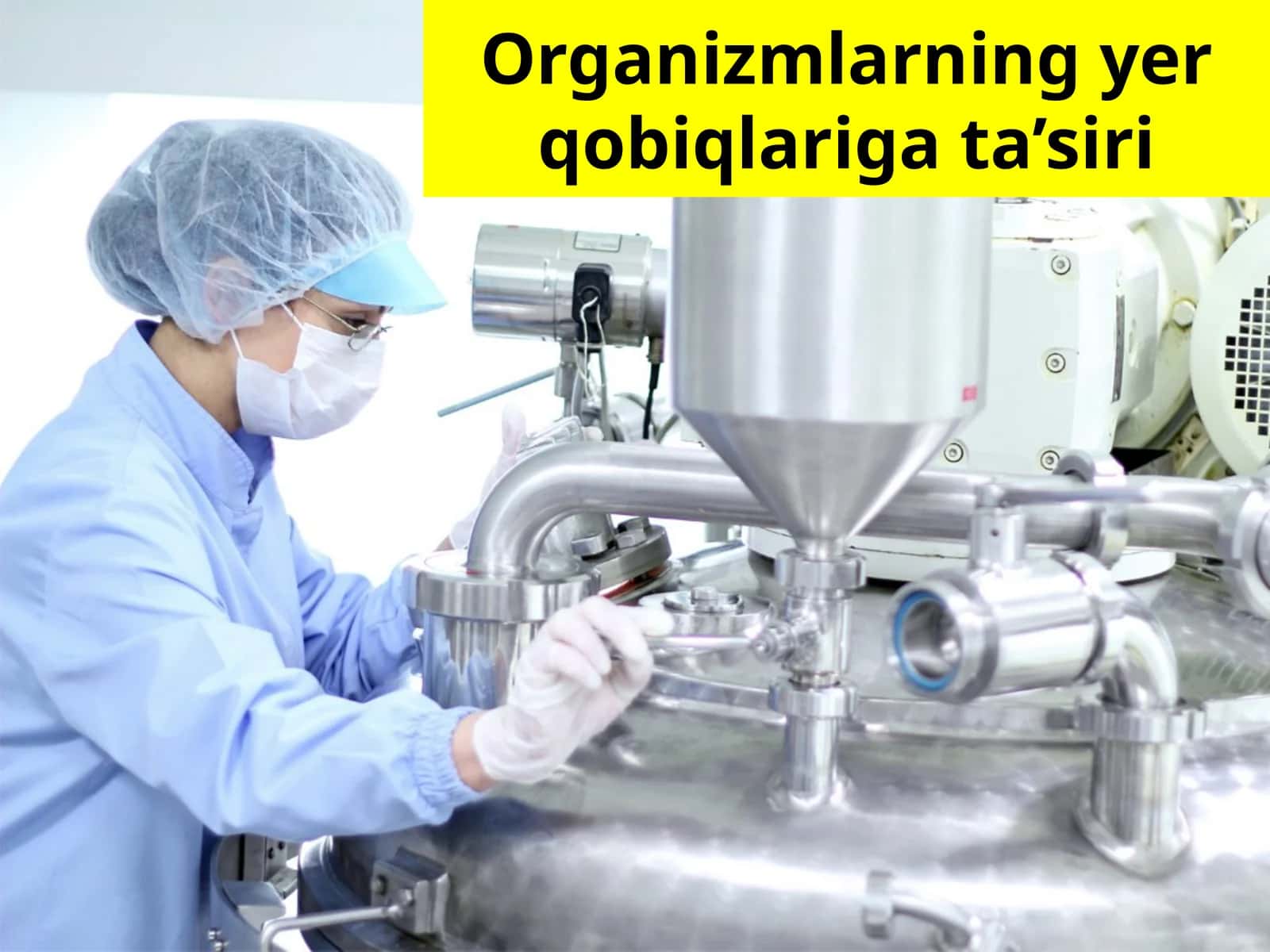 Organizmlarning yer qobiqlariga ta’siri