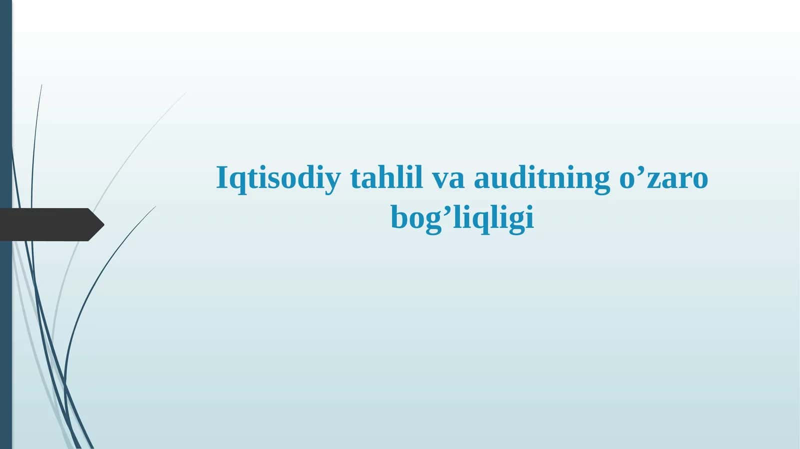 Iqtisodiy Tahlil va Audit