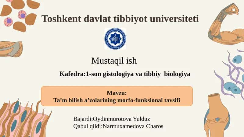 Ta’m bilish a’zolarining morfo-funksional tavsifi