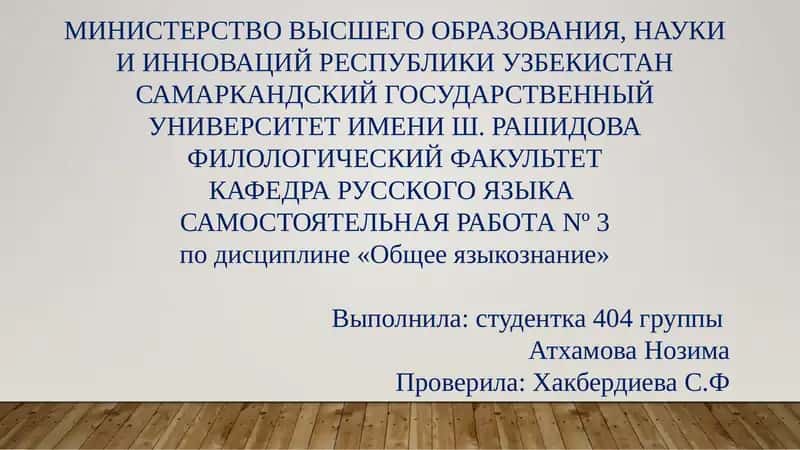 Самостоятельная работа № 3 по дисциплине «Общее языкознание»
