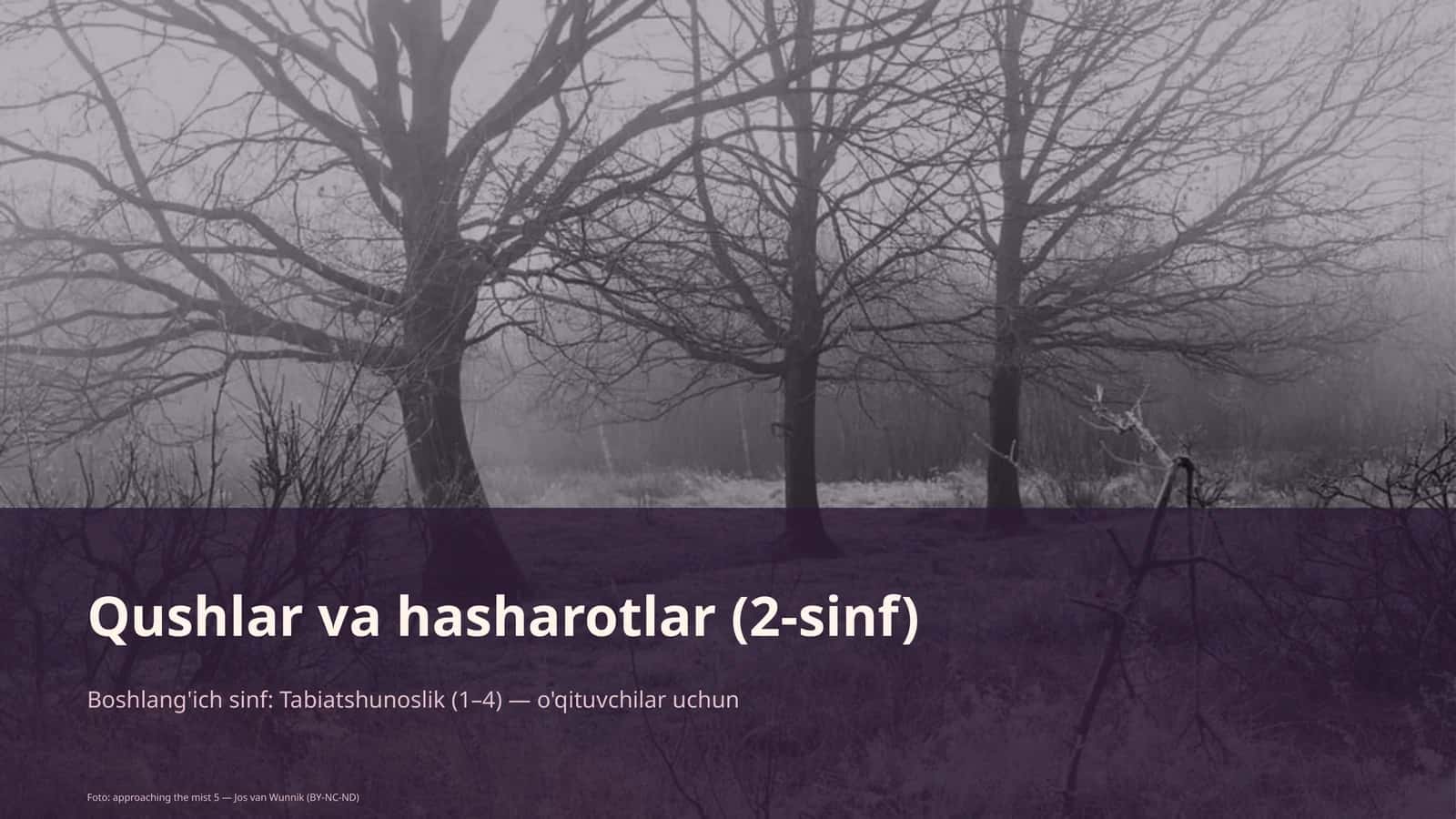Qushlar va hasharotlar (2-sinf)