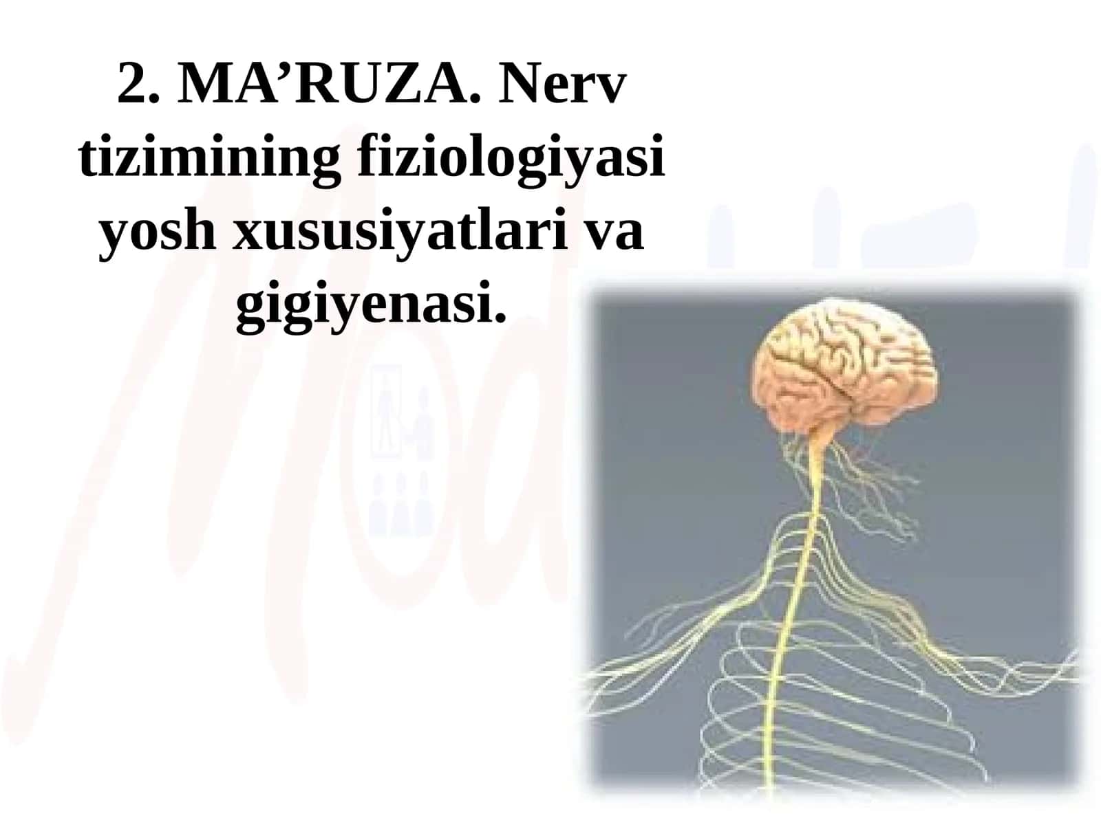 Nerv tizimining fiziologiyasi yosh xususiyatlarivagigiyenasi