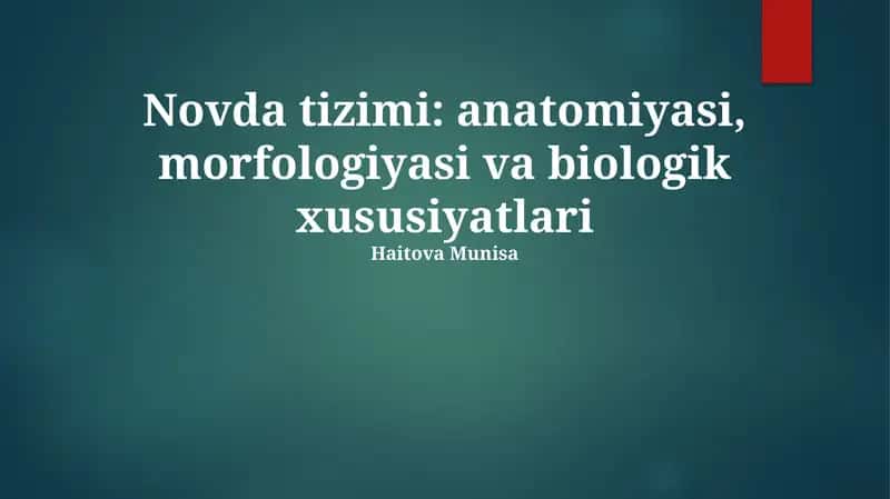 Novda tizimi: anatomiyasi, morfologiyasi va biologik xususiyatlari