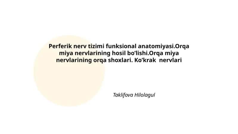 Perferik nerv tizimi funksional anatomiyasi.Orqa miya nervlarining hosil bo’lishi.Orqa miya nervlarining orqa shoxlari. Ko’krak nervlari