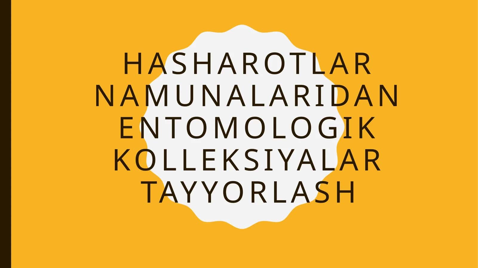 Hasharotlar namunalaridan entomologik kolleksiyalar tayyorlash