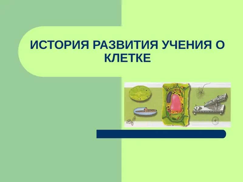 ИСТОРИЯ РАЗВИТИЯ УЧЕНИЯ О КЛЕТКЕ
