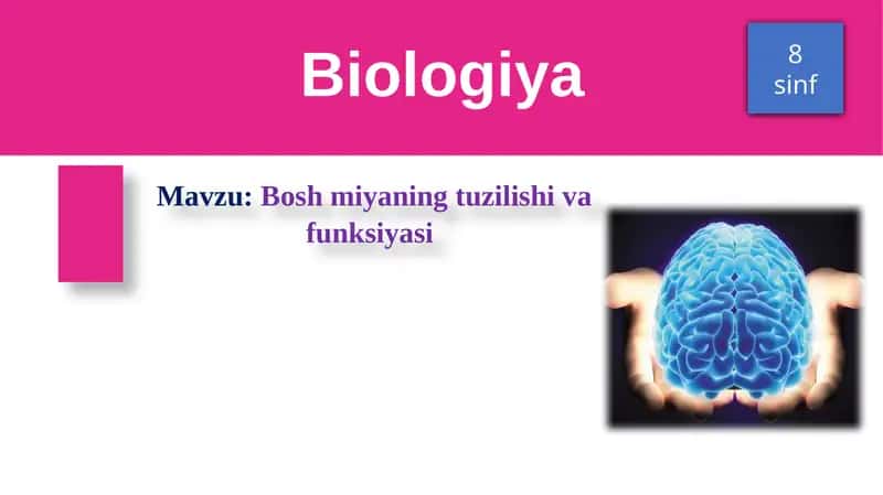 Bosh miyaning tuzilishi va funksiyasi