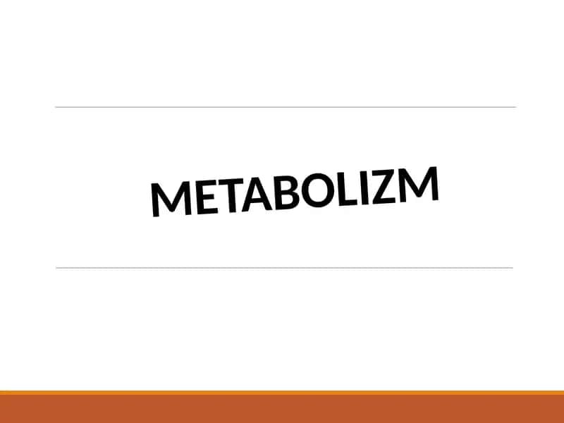 METABOLIZM