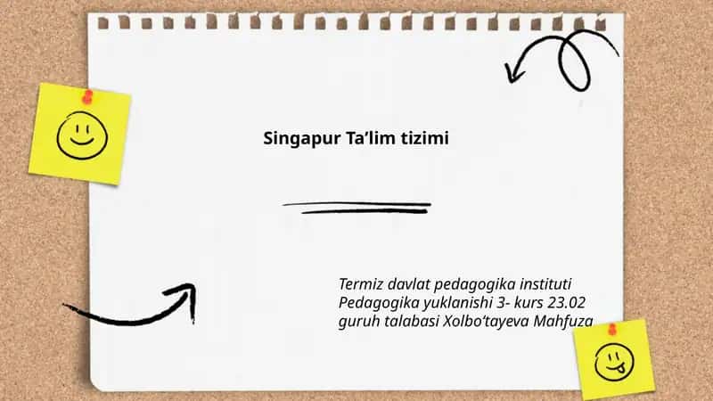 Singapur Taʼlim tizimi