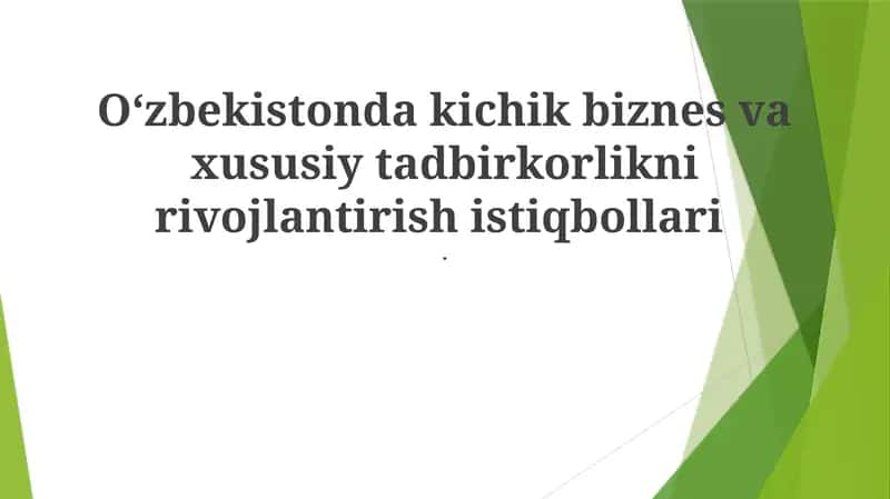 Kichik biznes va xususiy tadbirkorlikni rivojlantirish