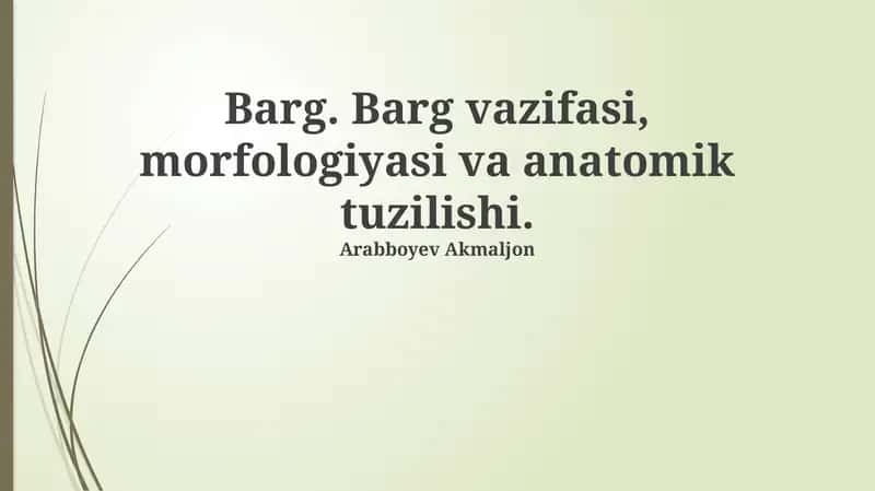 Qobiq