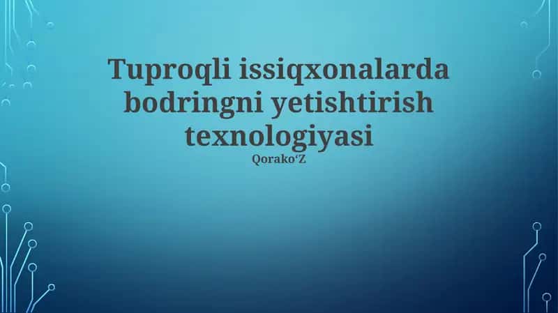 Tuproqli issiqxonalarda bodringni yetishtirish texnologiyasi