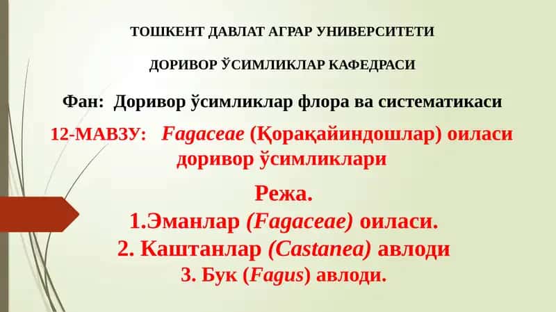 Fagaceae(Қорақайиндошлар) оиласи доривор ўсимликлари