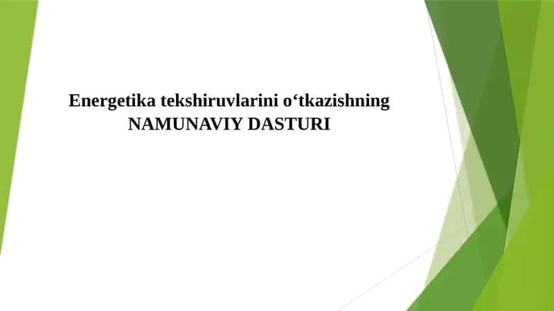 Energetika tekshiruvi NAMUNAVIY DASTURI
