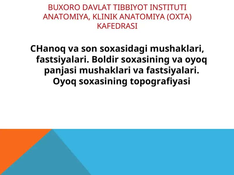 ANATOMIYA, KLINIK ANATOMIYA (OXTA) KAFEDRASI